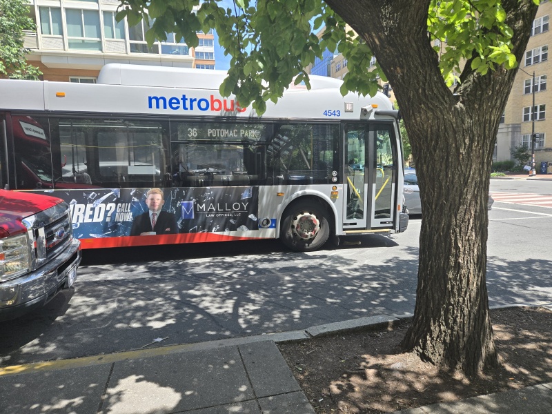 이미지를 클릭하시면 확대해서 보실 수 있습니다.